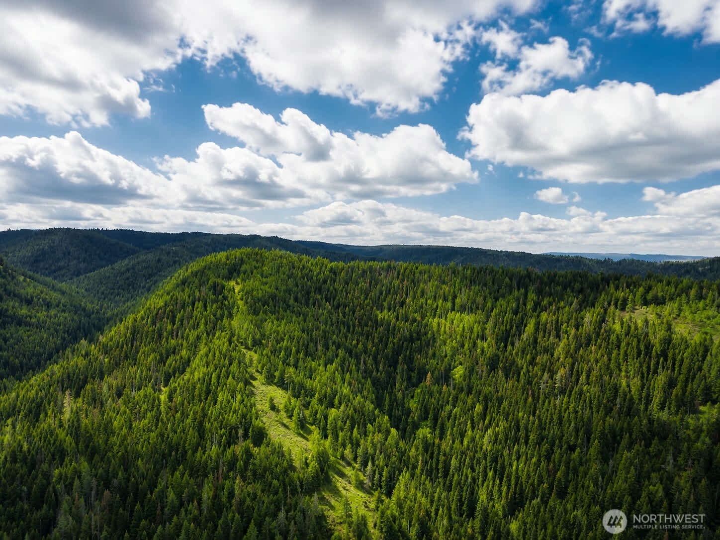30 Acres Off Biscuit Ridge Waitsburg, WA 99361 - Photo 1 of 16 a view of a bunch of trees