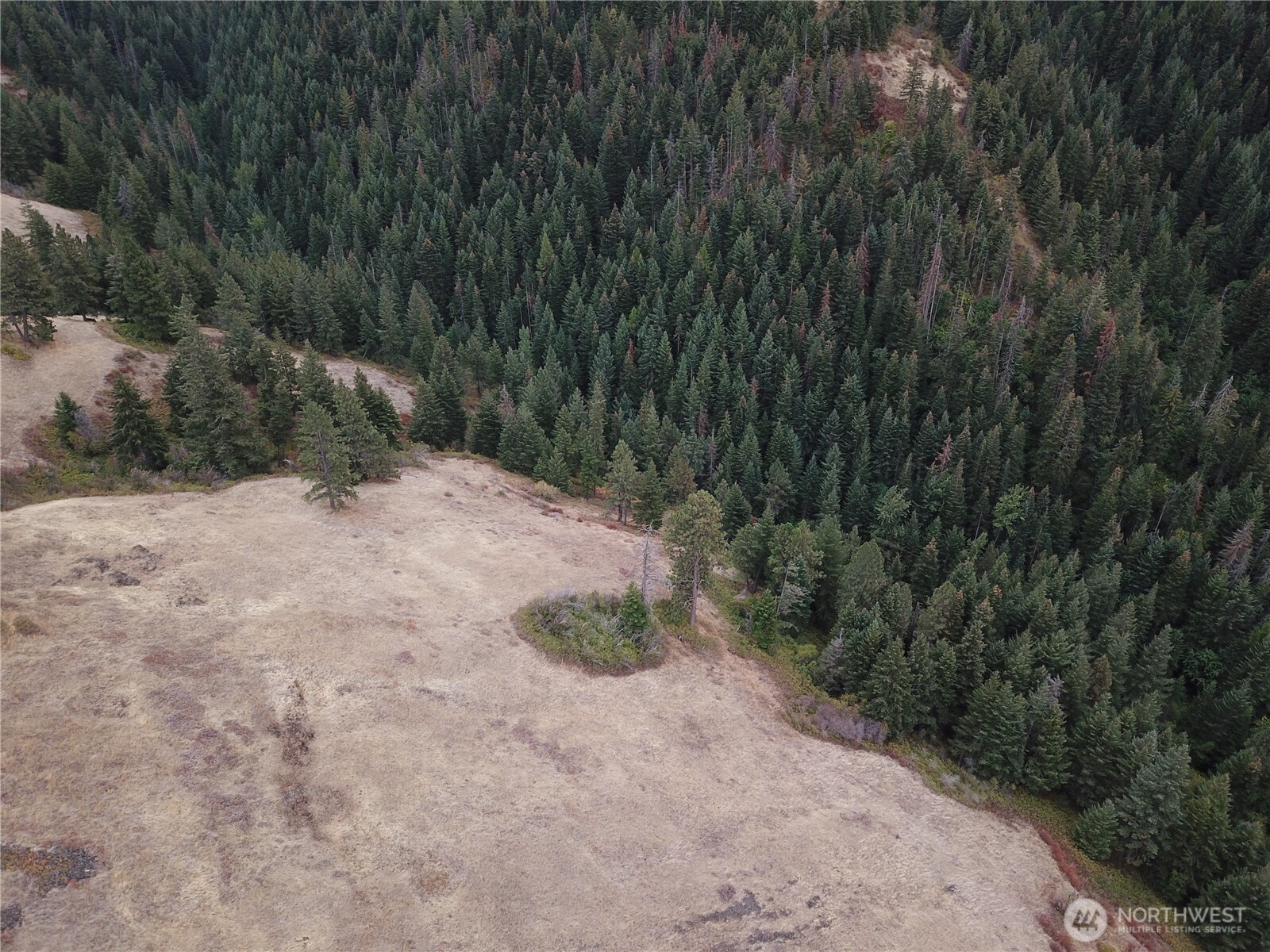 30 Acres Off Biscuit Ridge Waitsburg, WA 99361 - Photo 12 of 22 a view of a backyard of a house