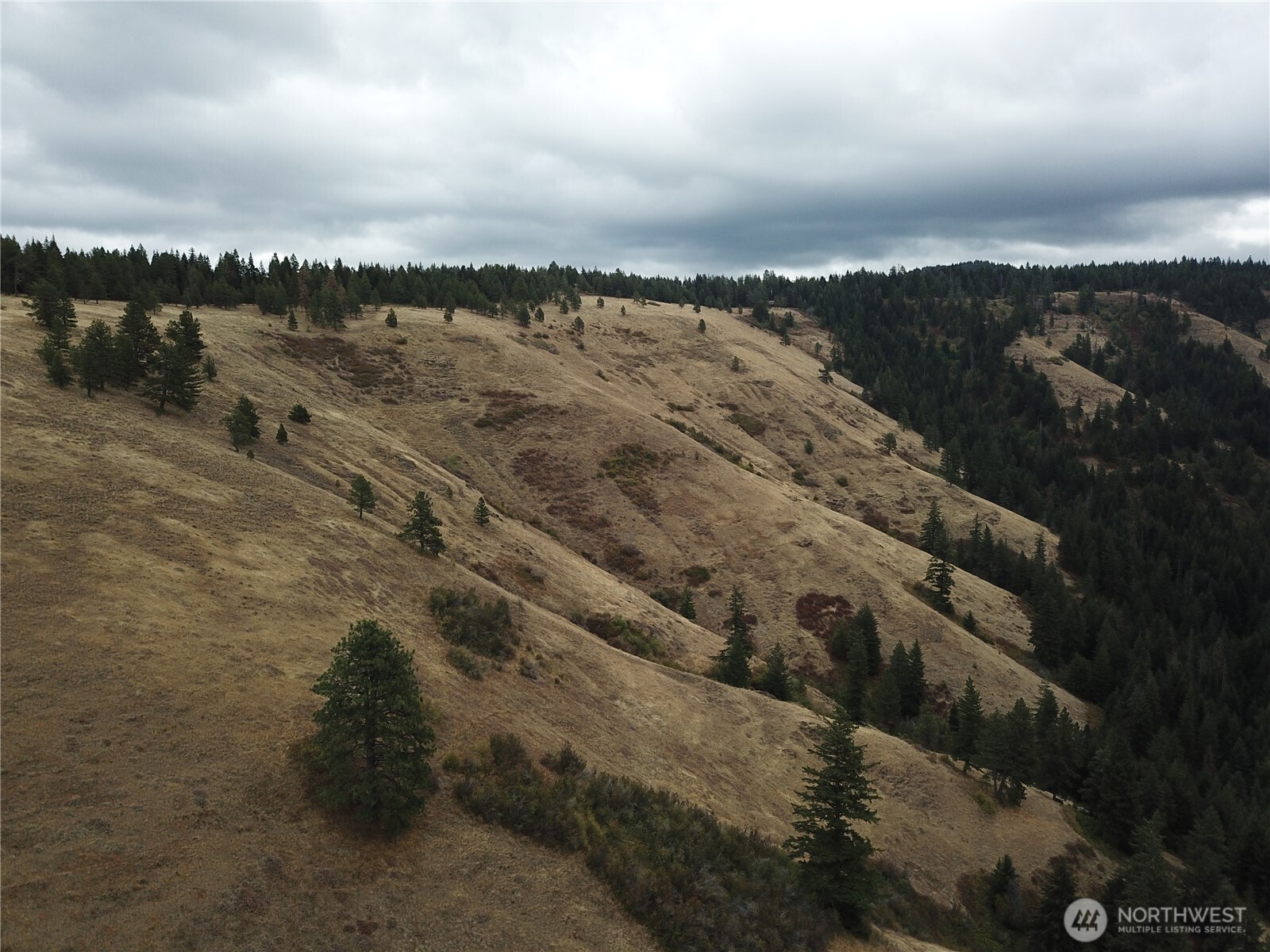 30 Acres Off Biscuit Ridge Waitsburg, WA 99361 - Photo 14 of 16 a view of lake and mountain