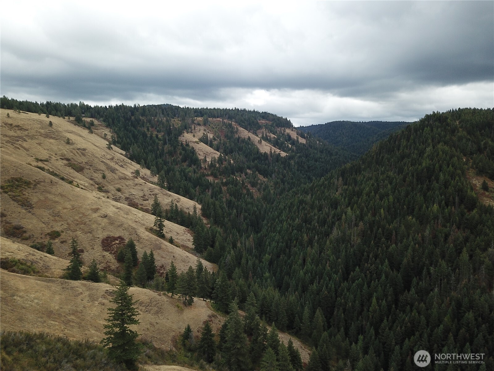 30 Acres Off Biscuit Ridge Waitsburg, WA 99361 - Photo 14 of 22 a view of city and mountain