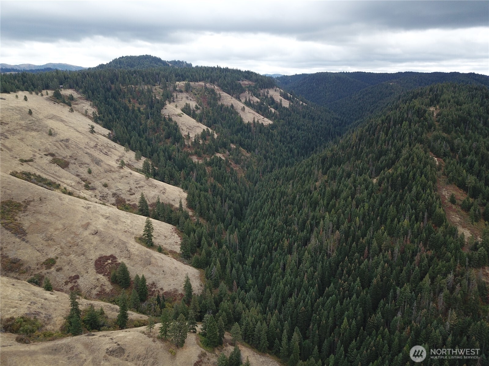 30 Acres Off Biscuit Ridge Waitsburg, WA 99361 - Photo 15 of 16 a view of a dry yard with mountains in the background
