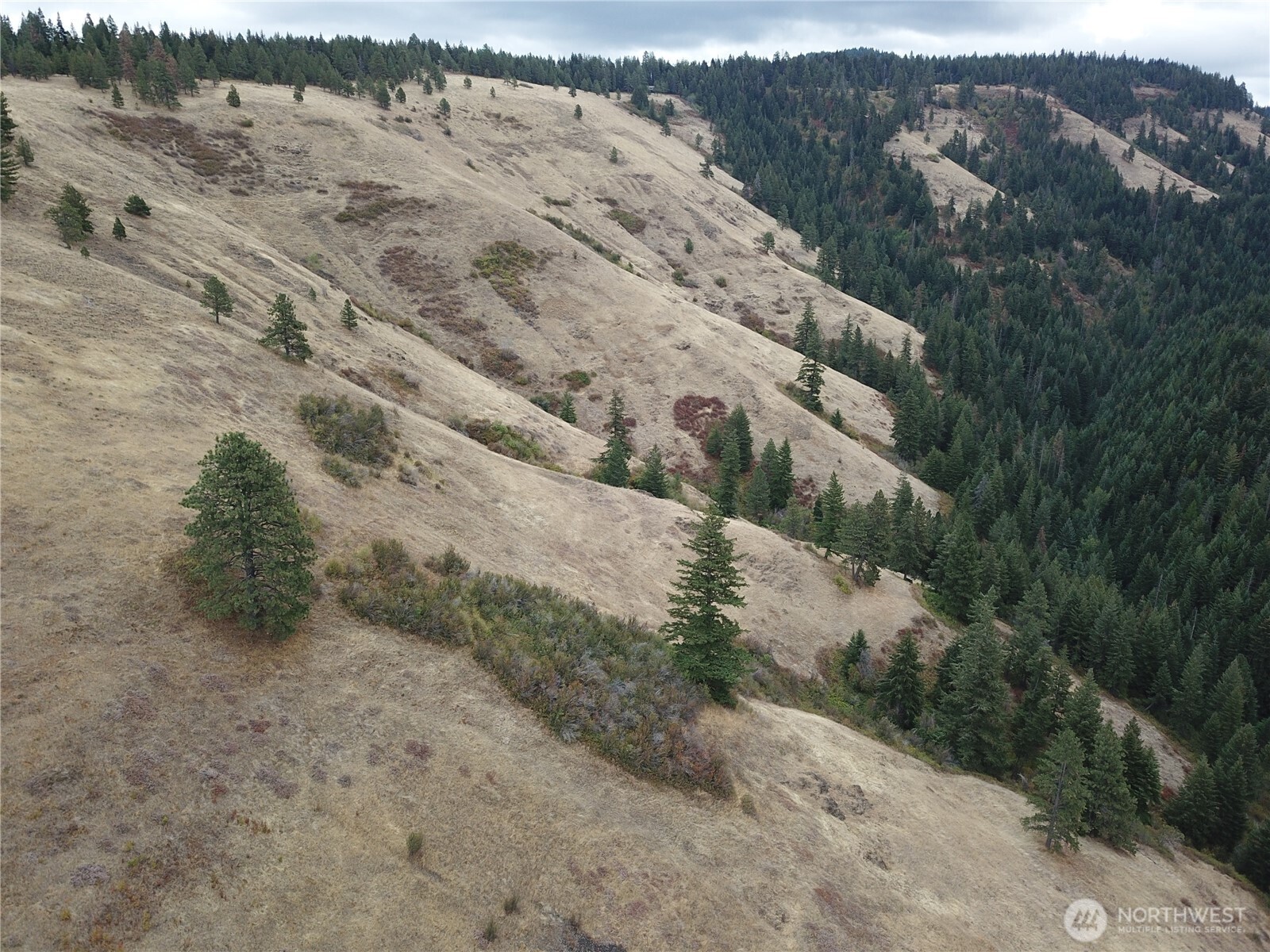 30 Acres Off Biscuit Ridge Waitsburg, WA 99361 - Photo 16 of 22 a view of mountains with beach