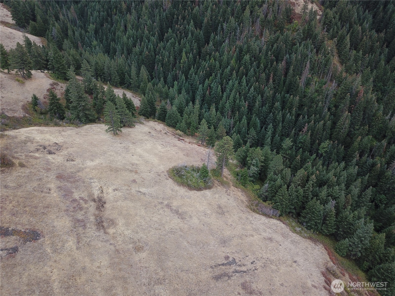 30 Acres Off Biscuit Ridge Waitsburg, WA 99361 - Photo 17 of 22 a view of a dirt pathway both side of green field