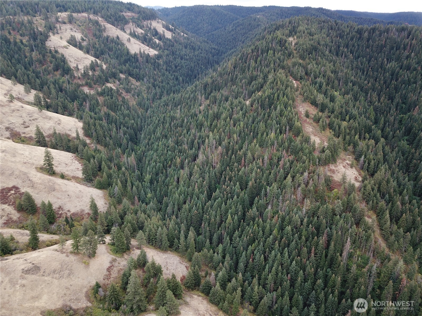 30 Acres Off Biscuit Ridge Waitsburg, WA 99361 - Photo 18 of 22 a view of a mountain in the distance in a field