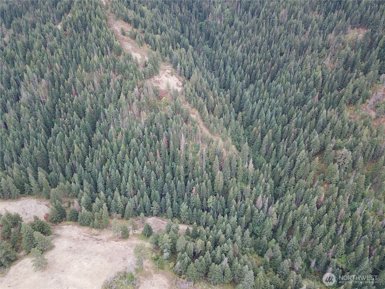 30 Acres Off Biscuit Ridge Waitsburg, WA 99361 - Photo 21 of 22 a view of a yard with a tree