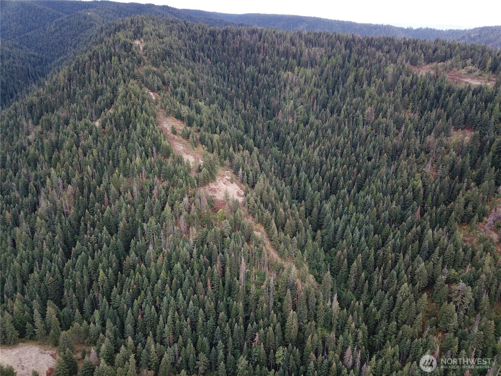 30 Acres Off Biscuit Ridge Waitsburg, WA 99361 - Photo 22 of 22 a view of a lush green forest