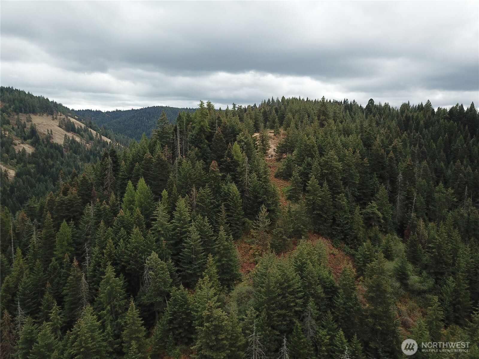 30 Acres Off Biscuit Ridge Waitsburg, WA 99361 - Photo 4 of 22 a view of a city and mountains