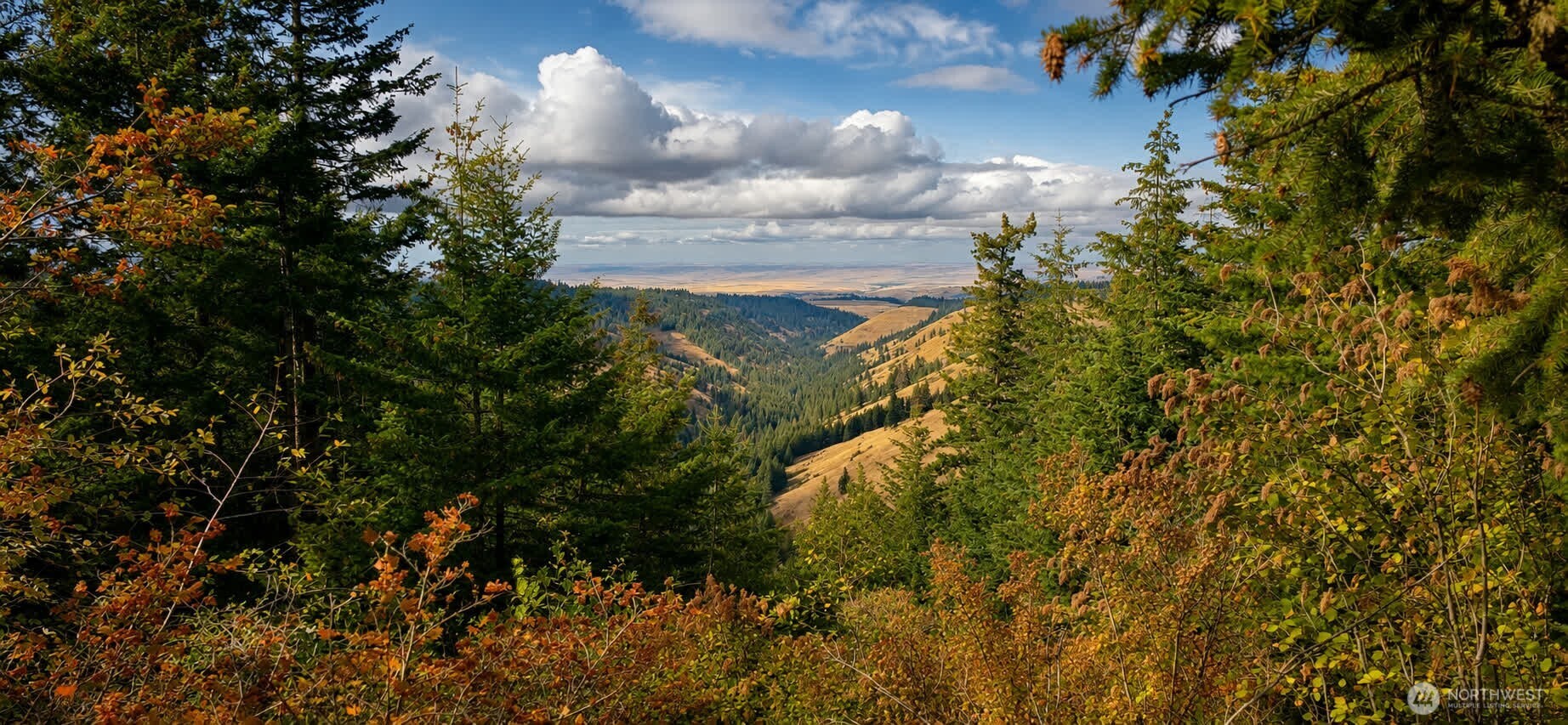 30 Acres Off Biscuit Ridge Waitsburg, WA 99361 - Photo 5 of 16