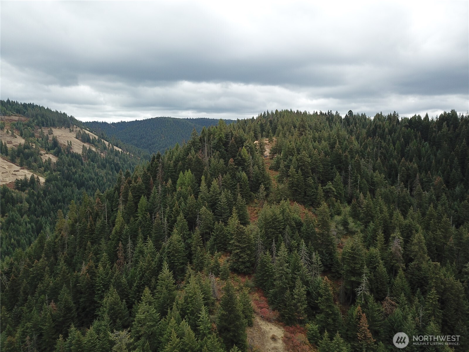 30 Acres Off Biscuit Ridge Waitsburg, WA 99361 - Photo 8 of 16 a view of a city and mountains