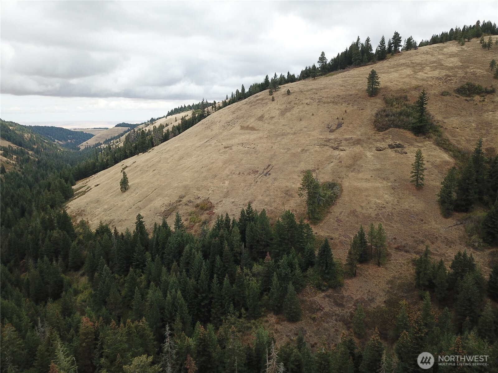 30 Acres Off Biscuit Ridge Waitsburg, WA 99361 - Photo 8 of 22 a view of a dry yard with a mountain