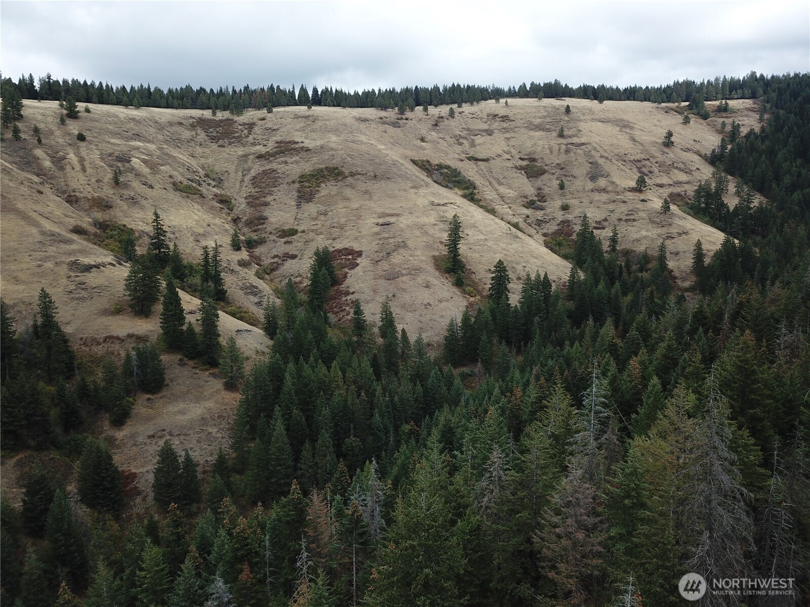 30 Acres Off Biscuit Ridge Waitsburg, WA 99361 - Photo 10 of 16 a view of lake and mountain view