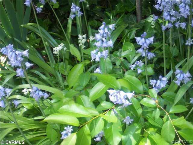 3015 Vesper Road Richmond, VA 23225 - Photo 10 of 10 Yard/Garden - Flowers love to bloom in this privat