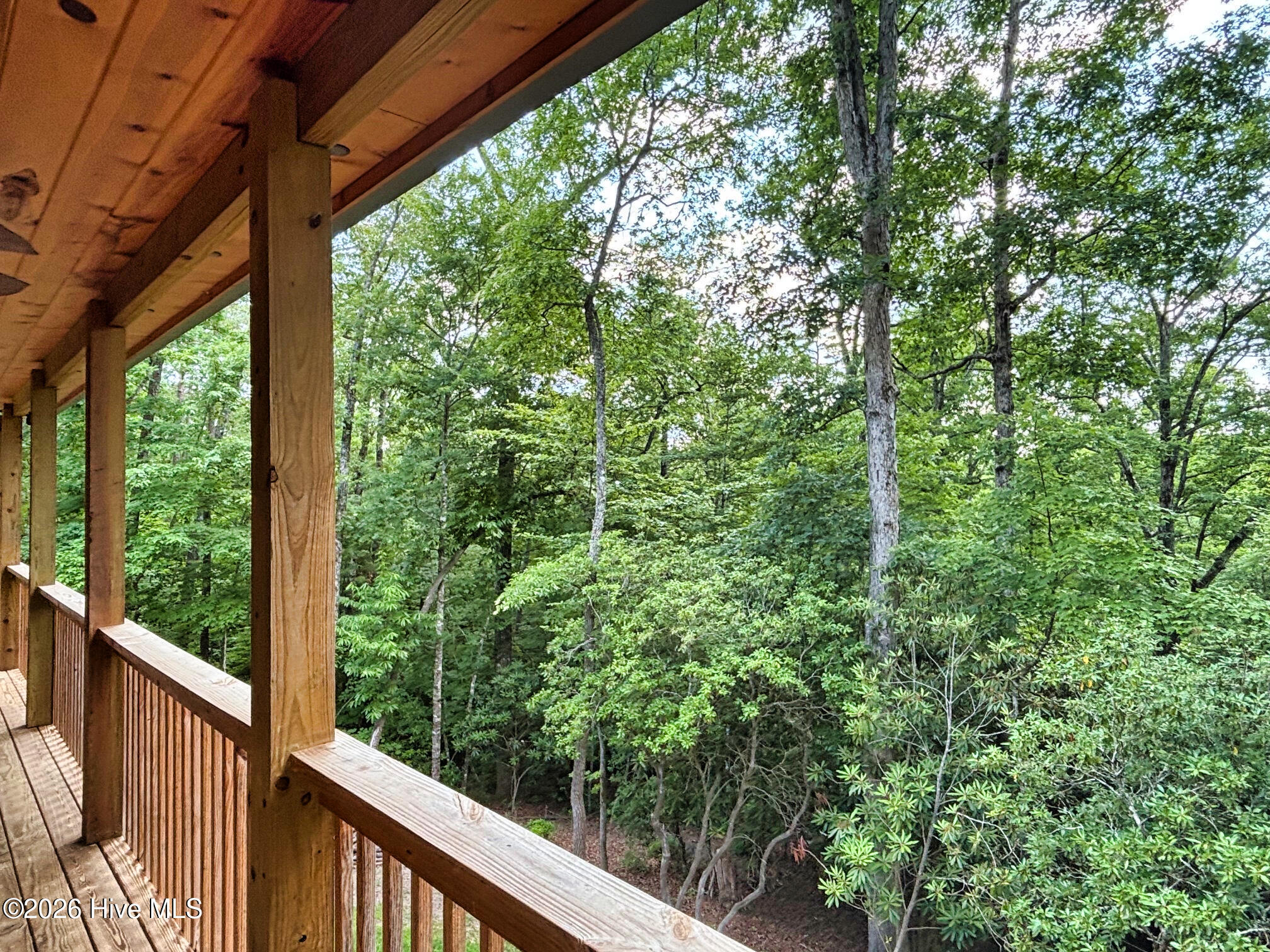 325 Dawsons Lane Murphy, NC 28906 - Photo 15 of 33