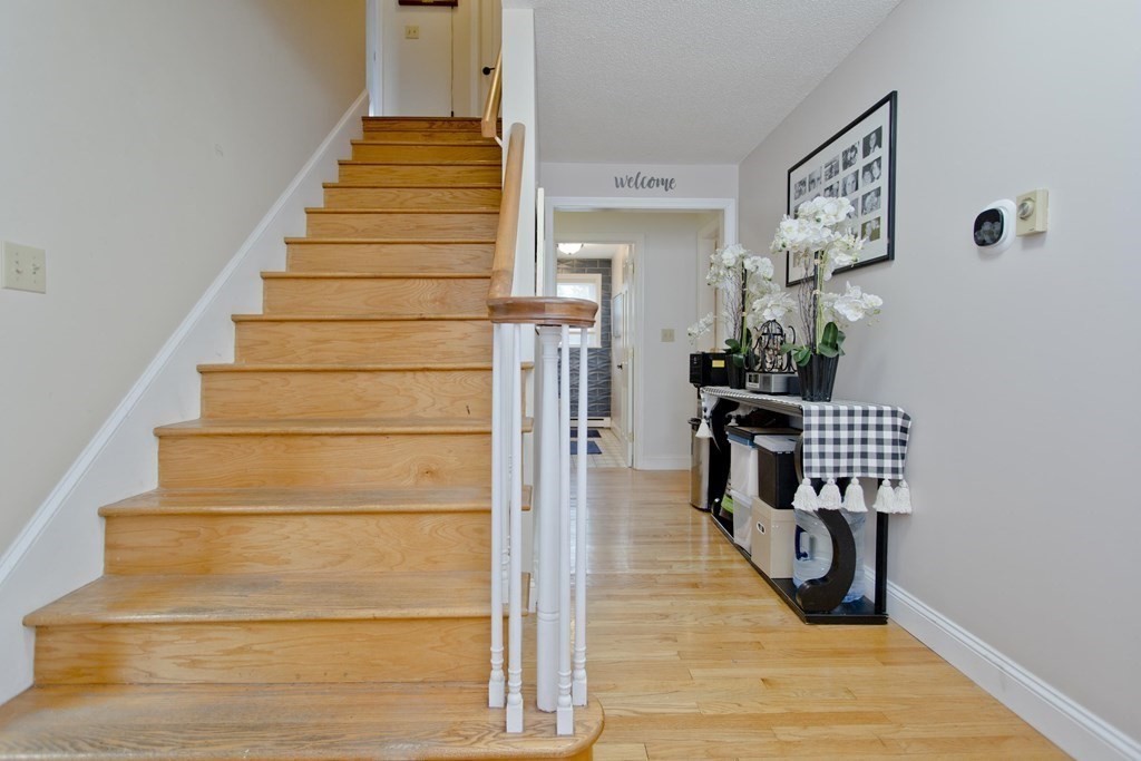 206 Bridle Path Road Chicopee, MA 01013 - Photo 12 of 37 Gallery Image 12