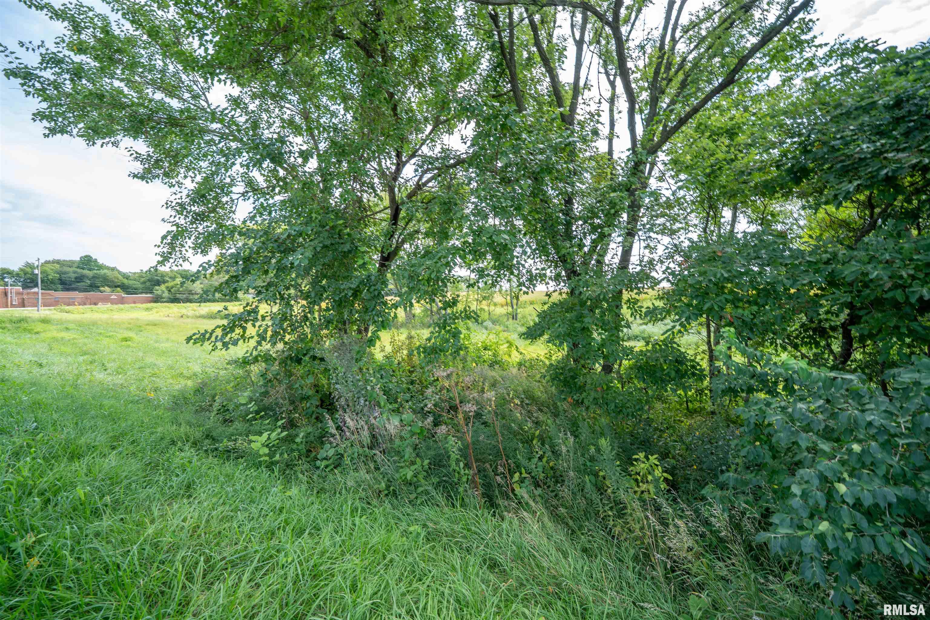 0 West Farmington Road Peoria, IL 61604 - Photo 15 of 22 Gallery Image 15