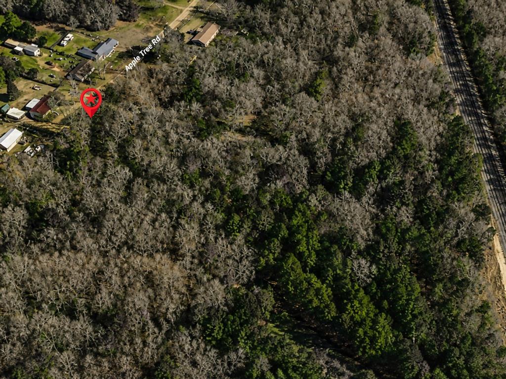 Tbd Apple Tree Road Gilmer, TX 75644 - Photo 4 of 13