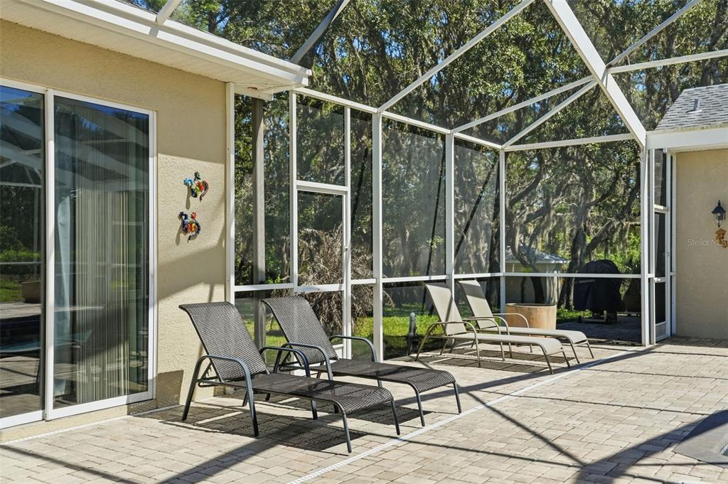 11033 Baywind Court Weeki Wachee, FL 34613 - Photo 54 of 73