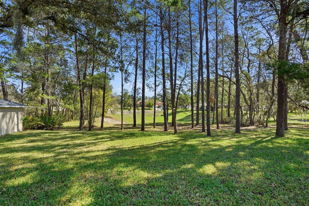 11033 Baywind Court Weeki Wachee, FL 34613 - Photo 58 of 73