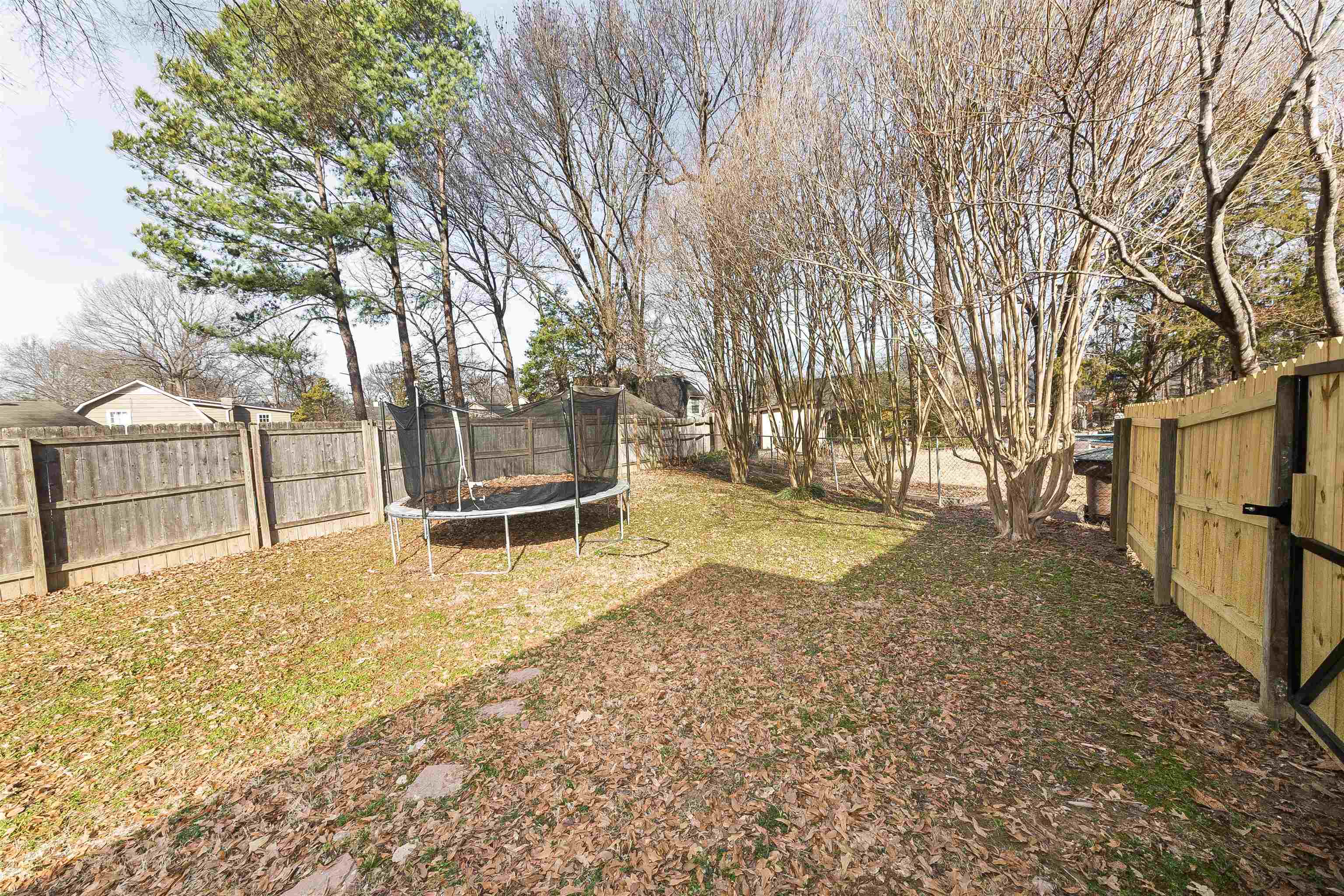 3105 Charles Bryan Road Bartlett, TN 38134 - Photo 4 of 29 a view of yard with trees