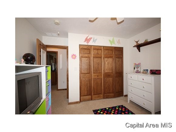 8404 Cardinal Hill Road Rochester, IL 62563 - Photo 11 of 23