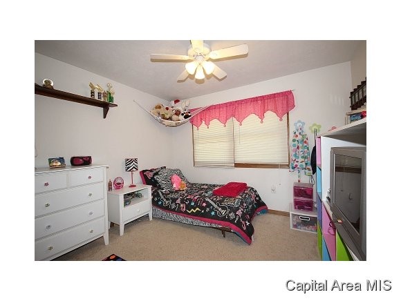 8404 Cardinal Hill Road Rochester, IL 62563 - Photo 12 of 23