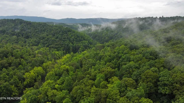 $224,999 | 487 Straight Branch Road, Speedwell, TN 37870