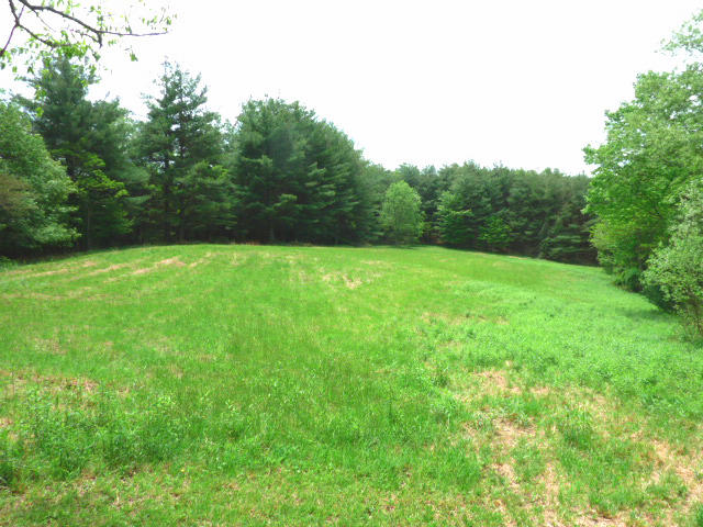 1282 Sunny Ridge Road Northeast Floyd, VA 24091 - Photo 4 of 53 a view of field with trees in the background