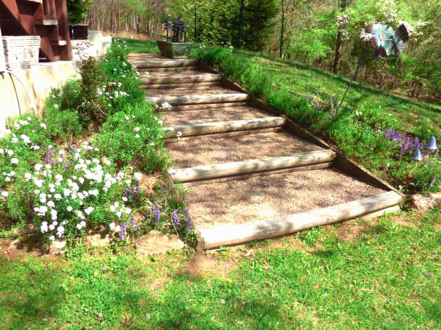 1282 Sunny Ridge Road Northeast Floyd, VA 24091 - Photo 41 of 53 a view of yard with green space