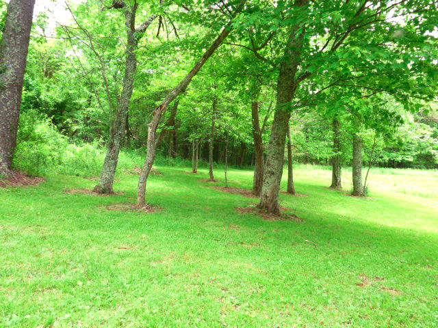 1282 Sunny Ridge Road Northeast Floyd, VA 24091 - Photo 44 of 53 a view of a park with a tree