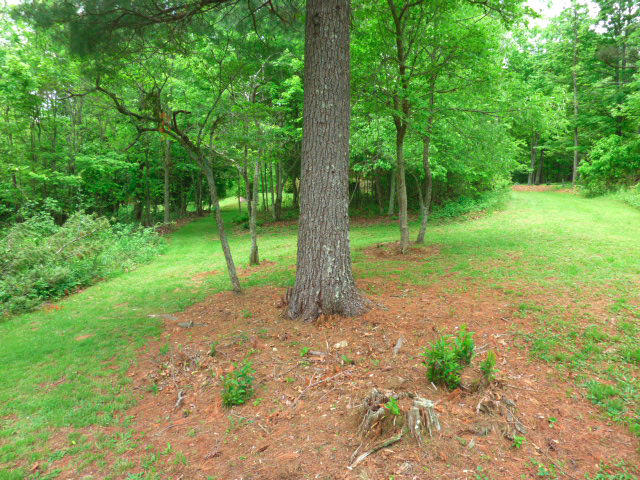 1282 Sunny Ridge Road Northeast Floyd, VA 24091 - Photo 45 of 53 a backyard of a house with lots of green space