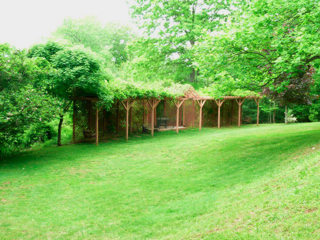 1282 Sunny Ridge Road Northeast Floyd, VA 24091 - Photo 46 of 53 a view of a house with a backyard