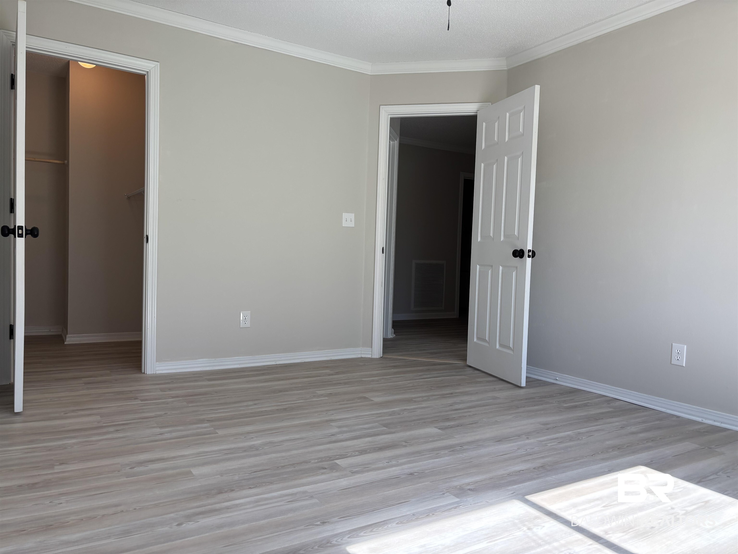 35650 Spring Road North Stapleton, AL 36578 - Photo 48 of 70 Unfurnished bedroom with a spacious closet, light wood finished floors, ornamental molding, and ceiling fan