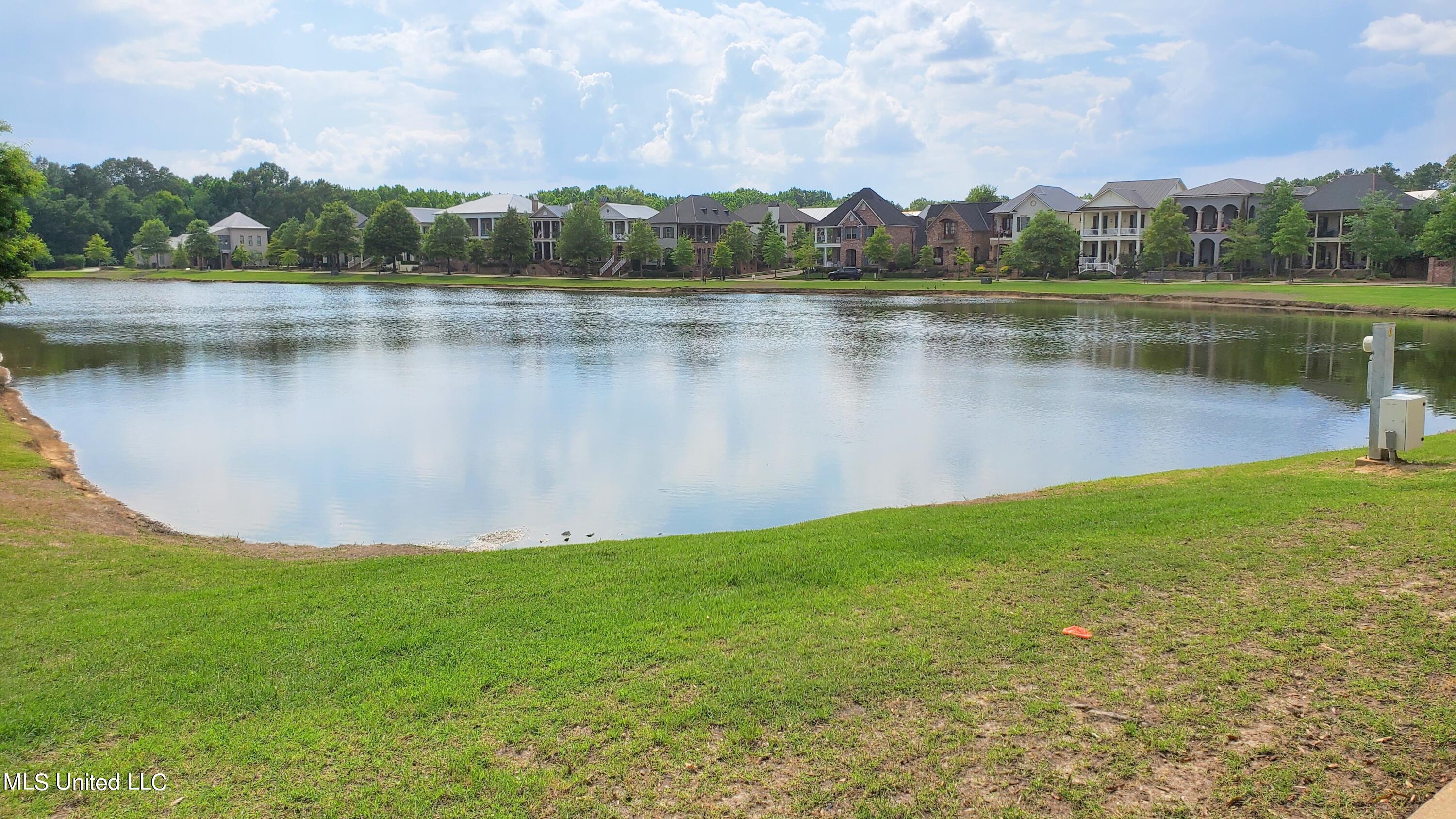 204 Eastpark Street Ridgeland, MS 39157 - Photo 31 of 31 204 EP Lake.1
