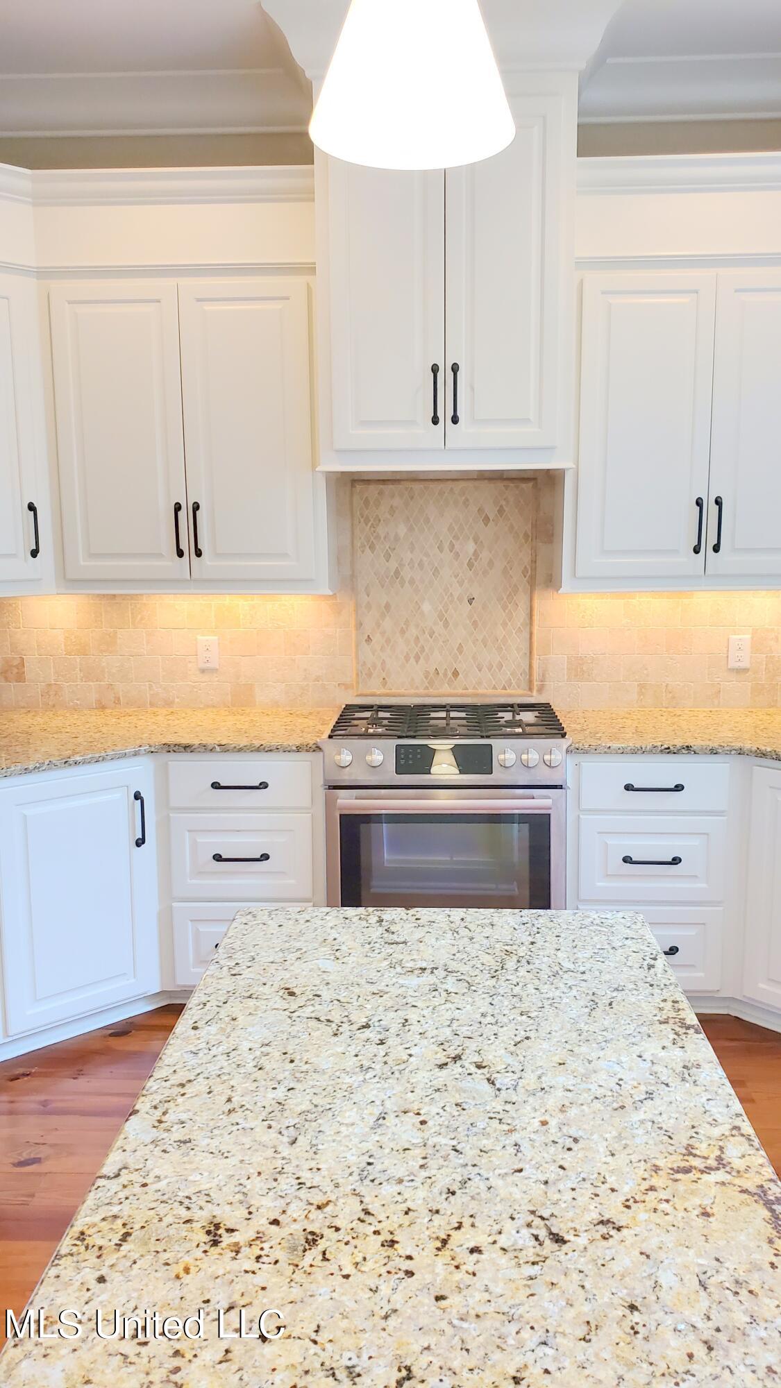 204 Eastpark Street Ridgeland, MS 39157 - Photo 9 of 31 204 EP Kit.4