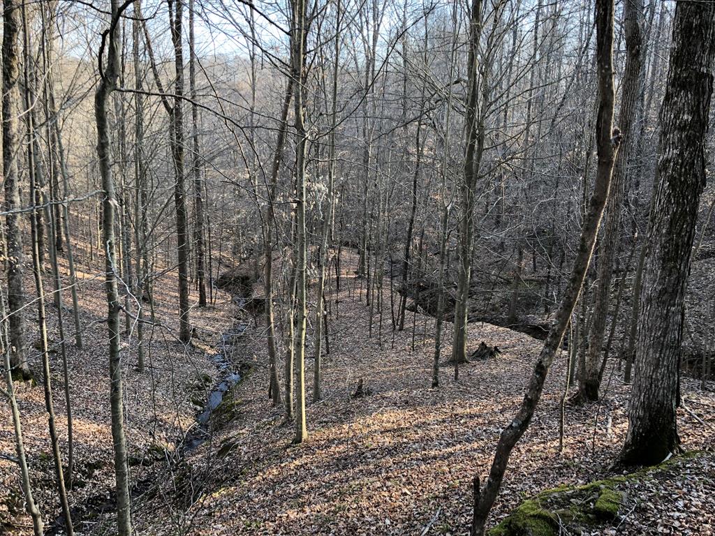 950 Johnney Harvey Road Breeding, KY 42715 - Photo 22 of 26 Gallery Image 22