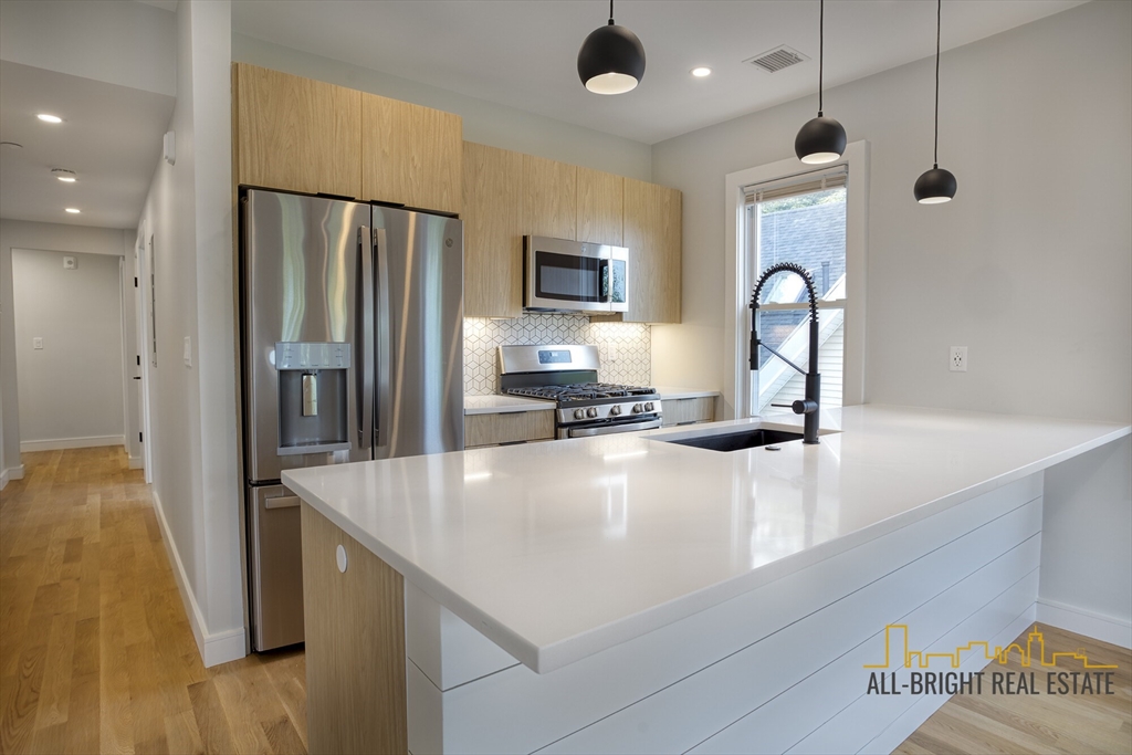 7 Wenham Street, Unit 1 Boston, MA 02130 - Photo 1 of 11