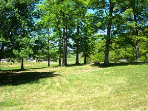 126 Townsend Road, Unit 2 Fall Branch, TN 37656 - Photo 8 of 10 Photo 8