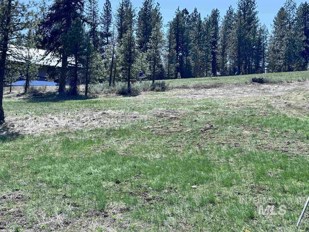 Lot 19 Hot Springs Road New Meadows, ID 83654 - Photo 16 of 28
