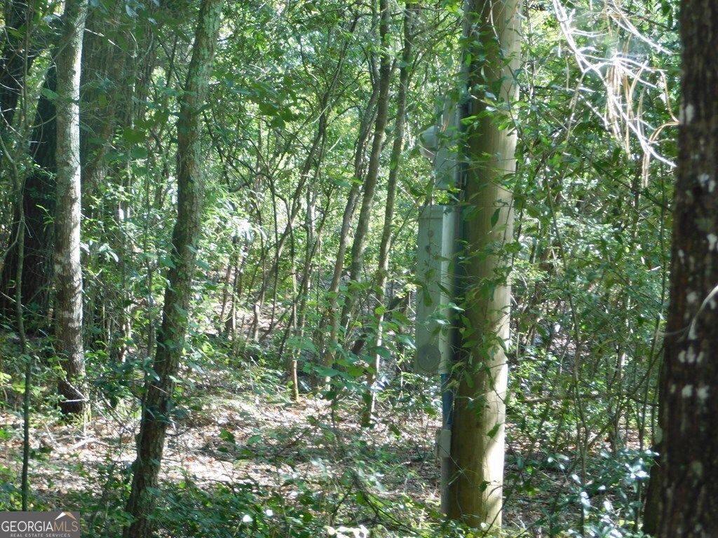 239 River Moss Road Reidsville, GA 30453 - Photo 2 of 5 a view of forest