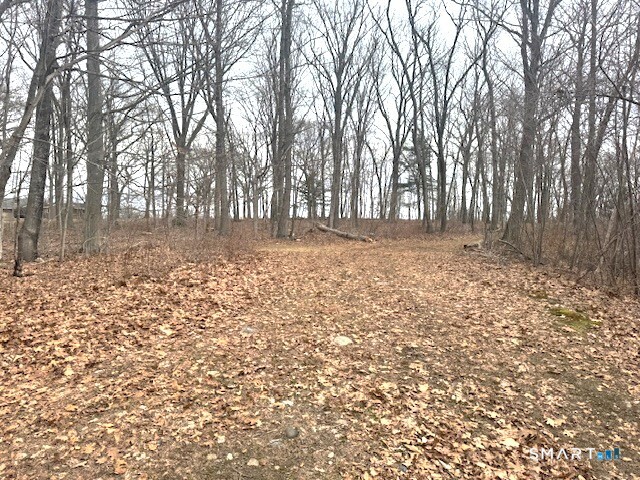 a view of a yard with trees in the background
