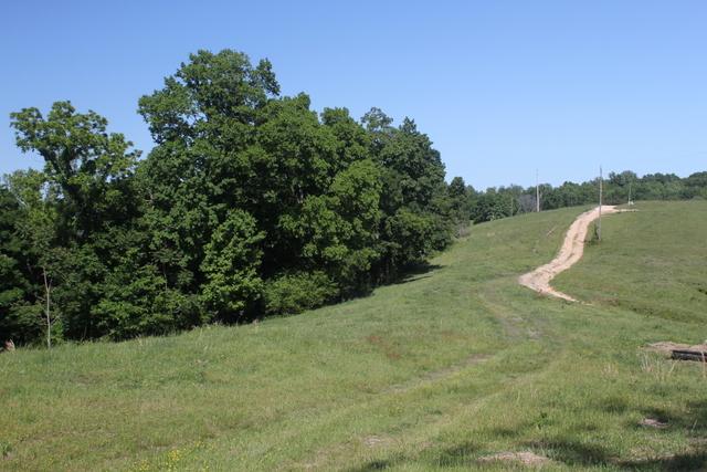 3600 Persimmon Ridge Williamsport, TN 38487 - Photo 2 of 20 Gallery Image 2