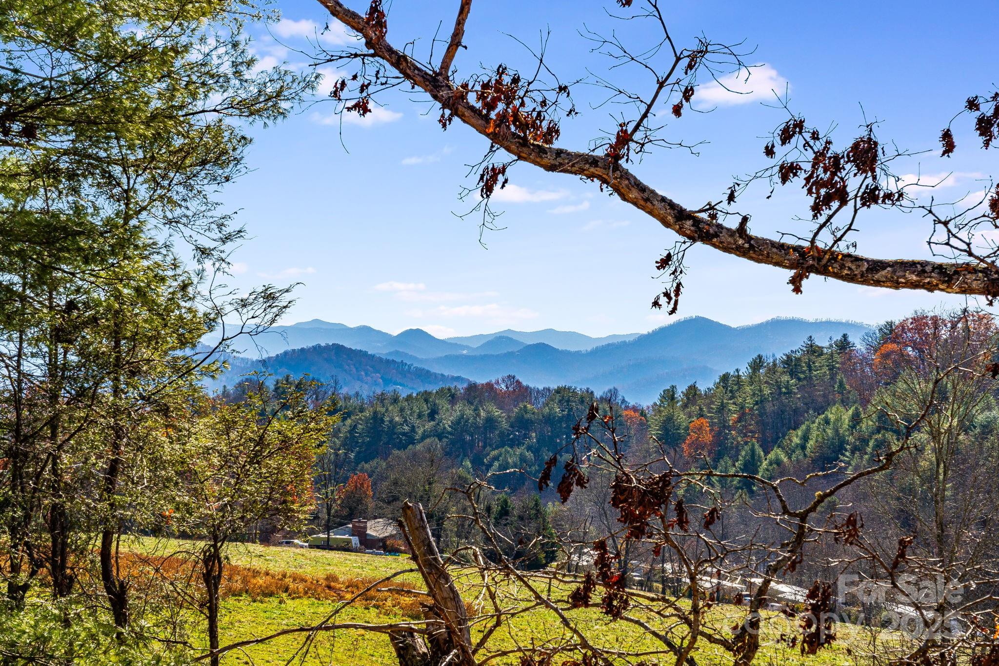 92 Parkway View Road Mars Hill, NC 28754 - Photo 2 of 46