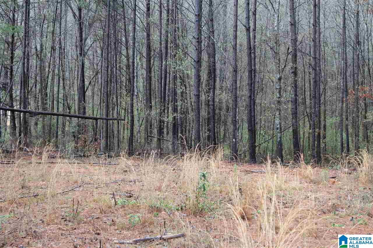 0 Fitzgerald Road Oxford, AL 36203 - Photo 3 of 44