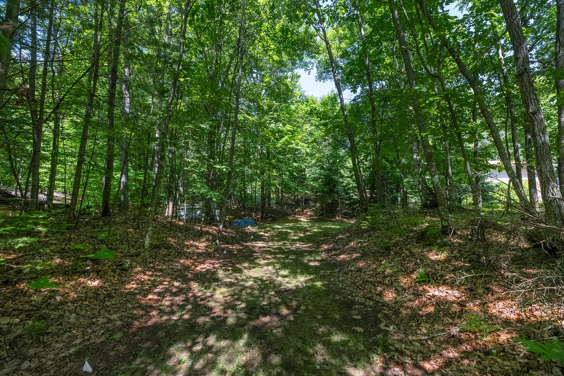 Off Shangri La Road Eagle River, WI 54521 - Photo 12 of 21 Gallery Image 12
