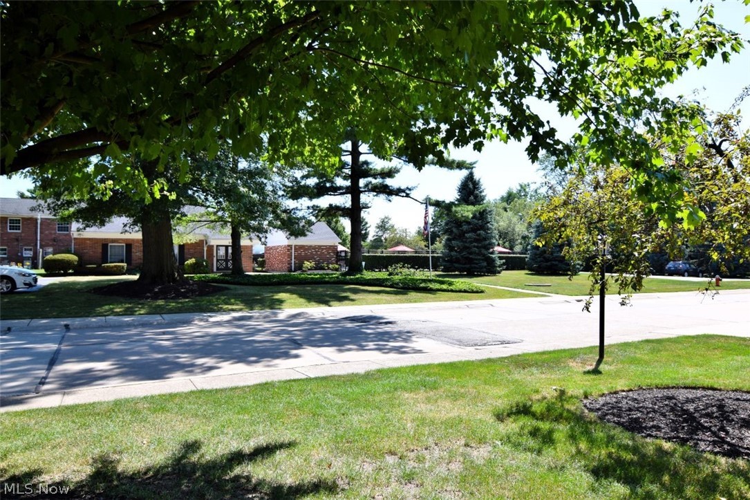 133 Chatham Way, Unit C133 Mayfield Heights, OH 44124 - Photo 35 of 39 View to the pool