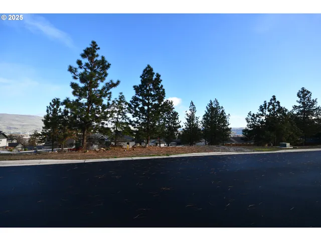 a view of outdoor space and yard