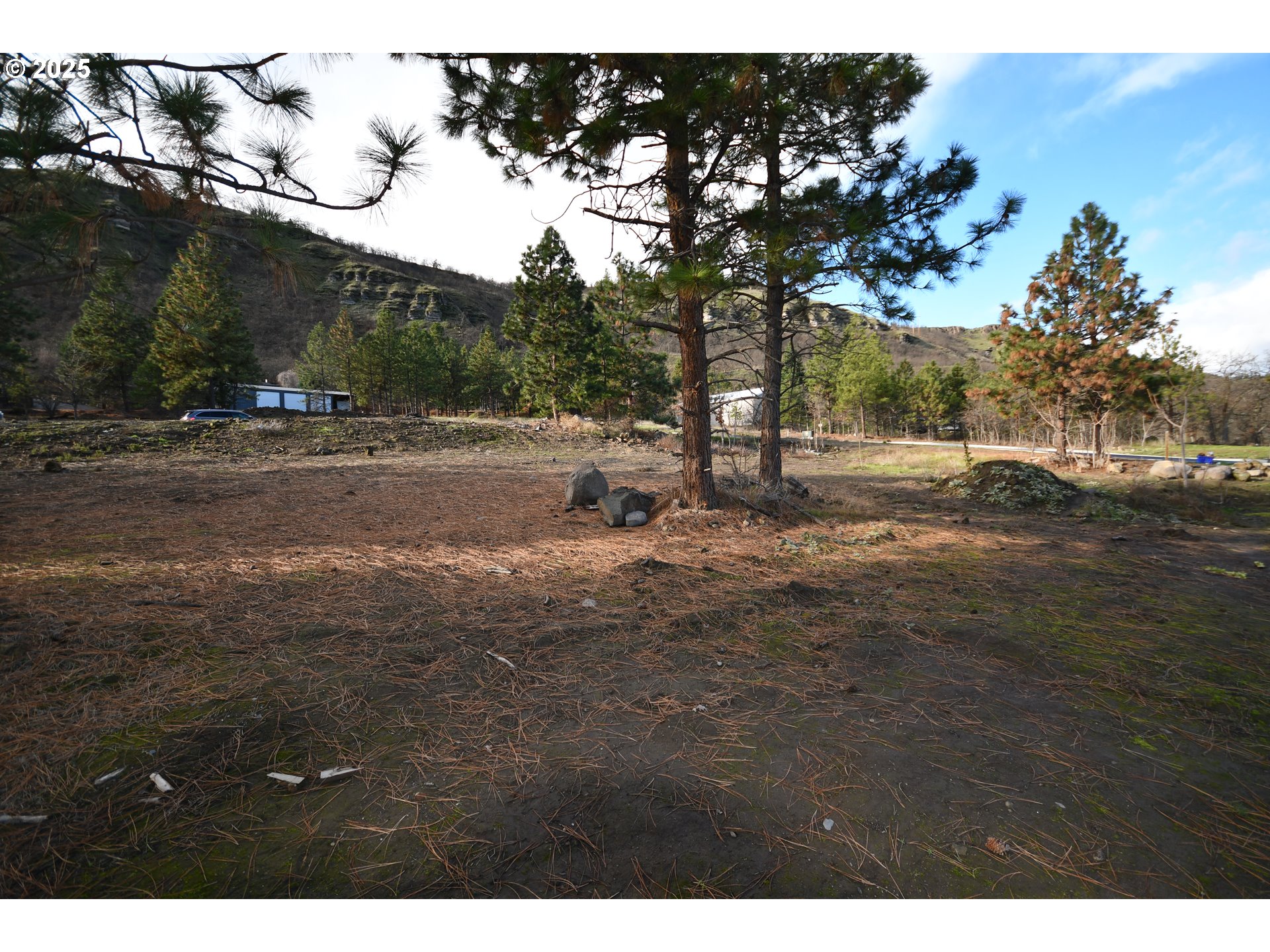West 15th Street, Unit 36 The Dalles, OR 97058 - Photo 20 of 23 a view of dirt yard with a large tree