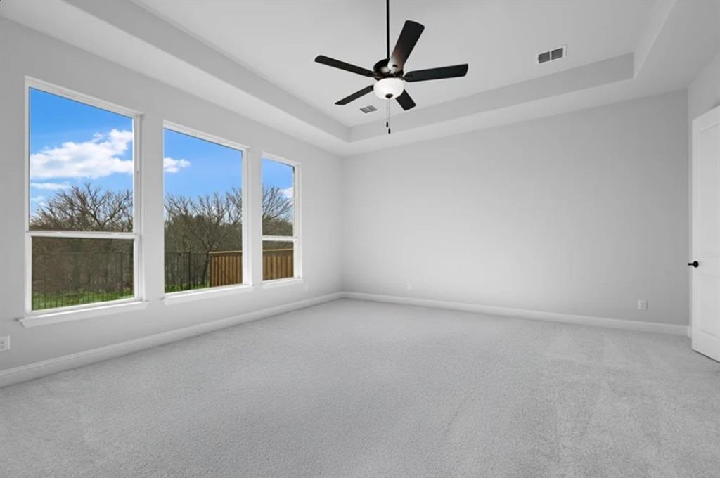 1709 Yellow Rose Road Celina, TX 75009 - Photo 9 of 27 Representative Photo
