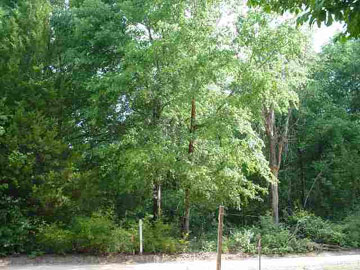 Janney Road, Unit SEEADD Clarksville, FL 32430 - Photo 1 of 1