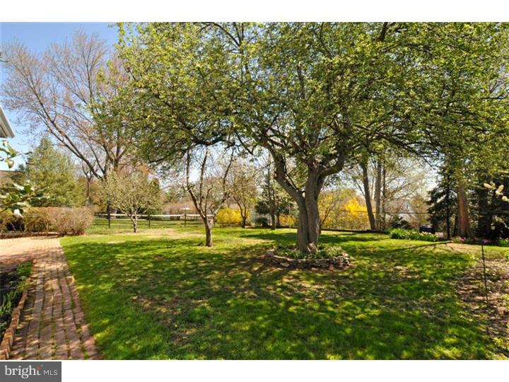 535 Lowell Road Warminster, PA 18974 - Photo 5 of 25 Exterior Back